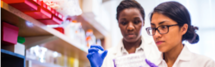 Two women examining lab samples