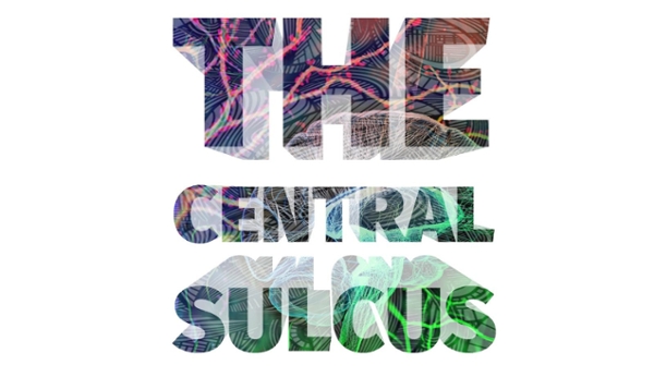 The Central Sulcus logo