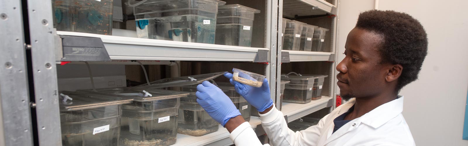 Man in a lab with live specimens