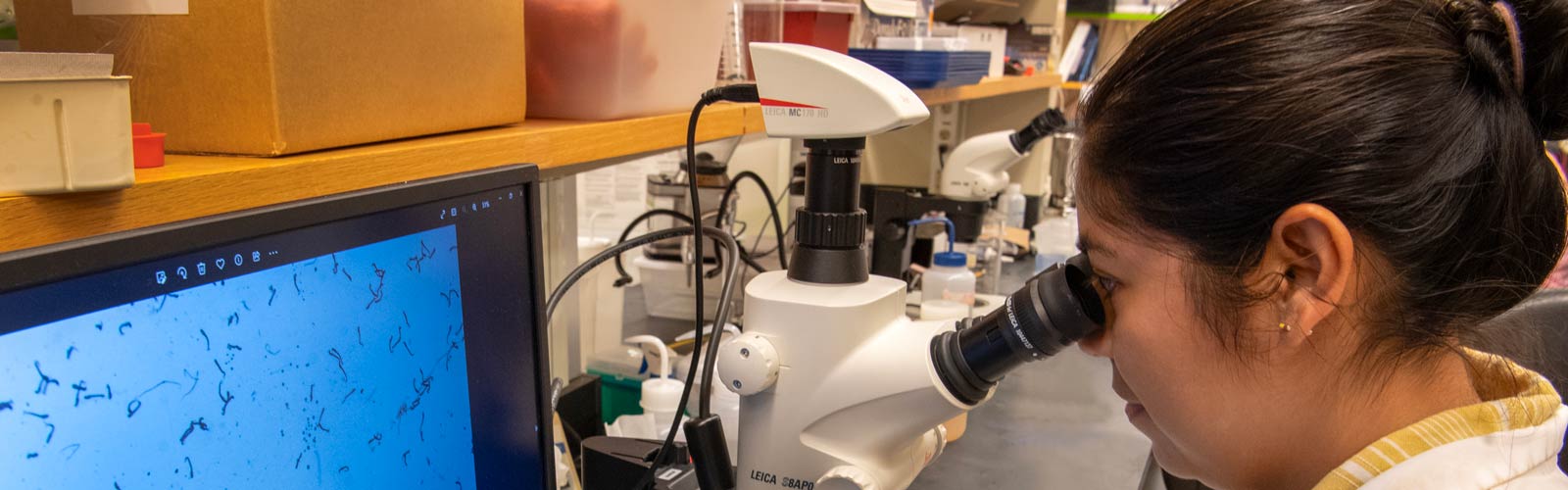 Woman working in a lab