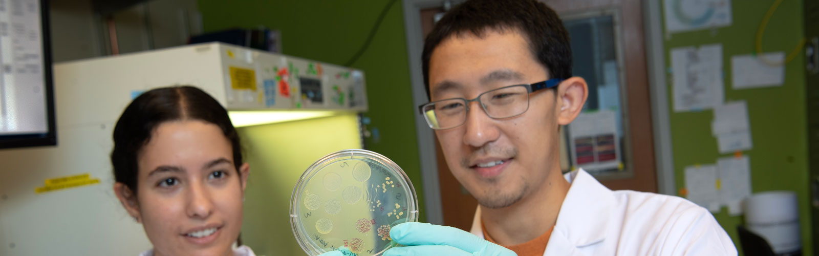 Students examining specimens