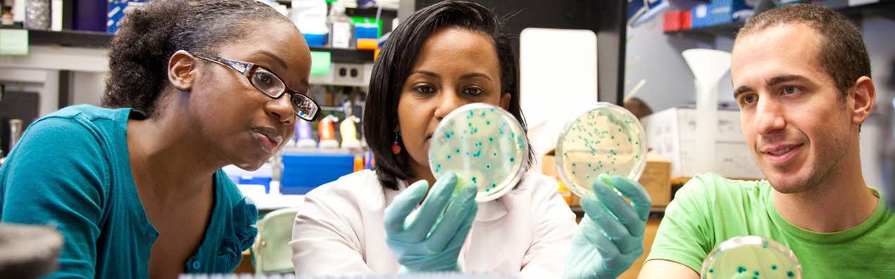 Students studying micro-organisms in a lab