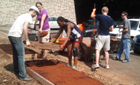 Image for 
                                            Fernbank Science Center Gardens, Spring 2014