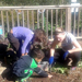 Compost Demonstration Garden at Fernbank Science Center 2014